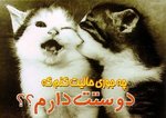 2o pshila
